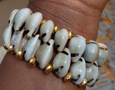 Double Cowry Shell & Gold Bead Bracelet